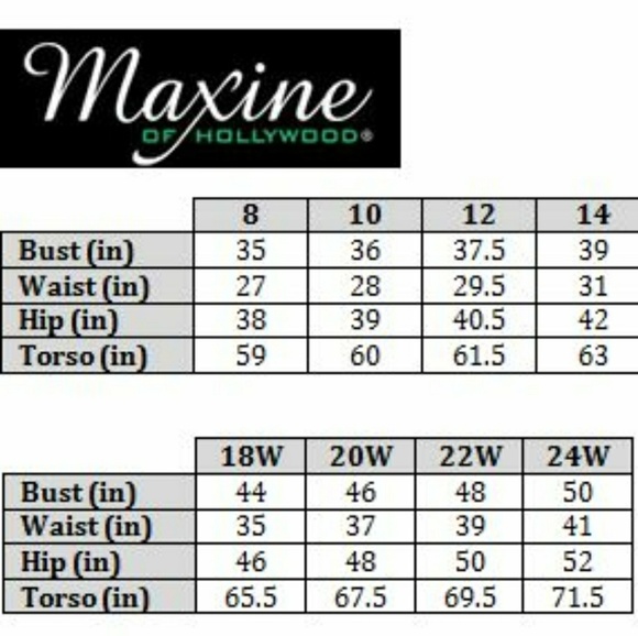 Maxine of Hollywood Swim 2w Maxine Netted Neck Swimsuit 20w Poshmark